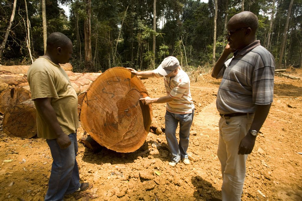 Legno, Congo&nbsp;