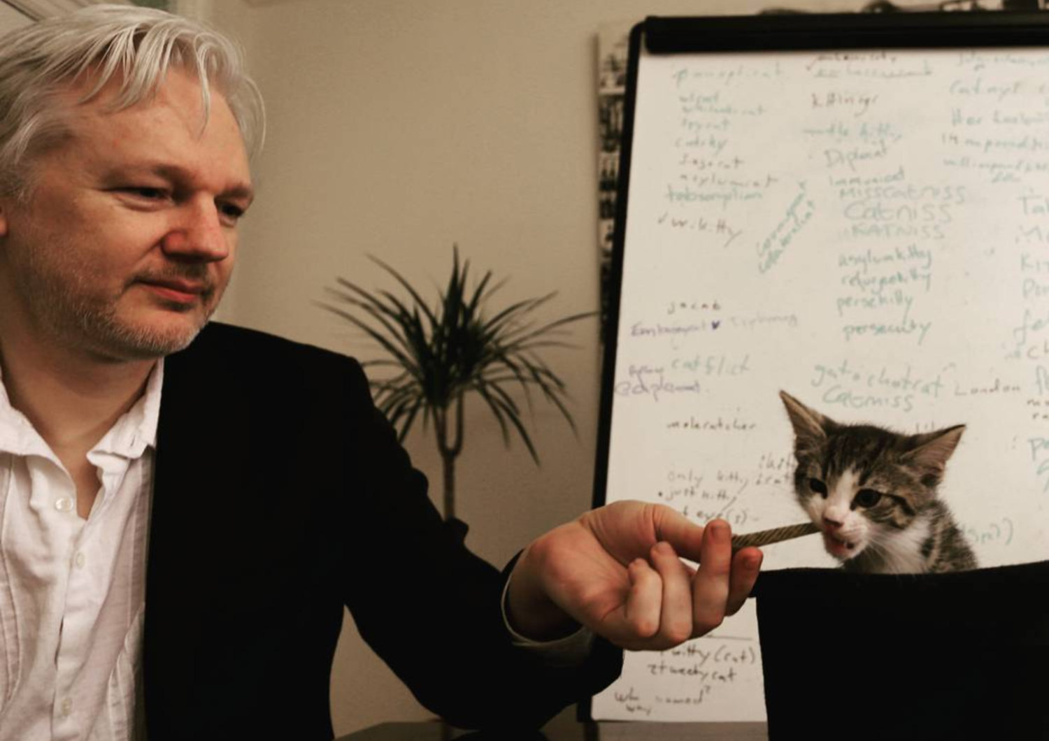 Julian Assange e Michi