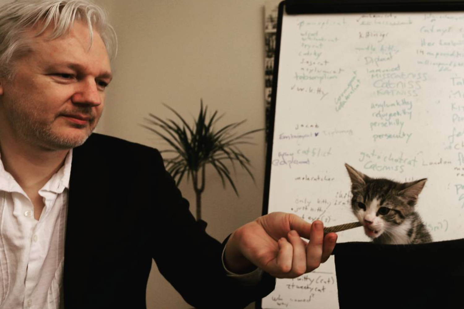 Julian Assange e Michi