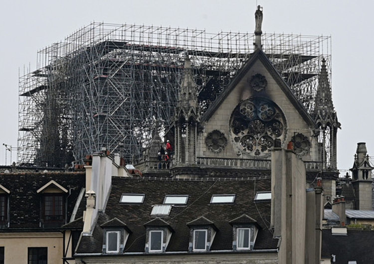 La cattedrale di Notre Dame, il giorno dopo il rogo&nbsp;