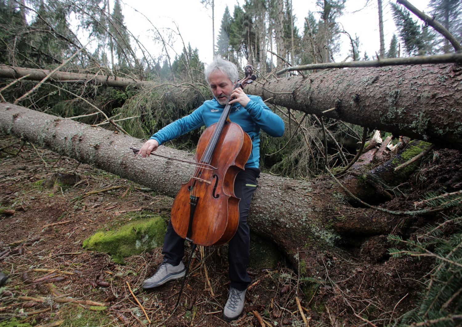 Omaggio alla foresta dei violini Stradivari a Paneveggio. Il musicista Mario Brunello