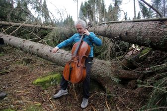 Omaggio alla foresta dei violini Stradivari a Paneveggio. Il musicista Mario Brunello