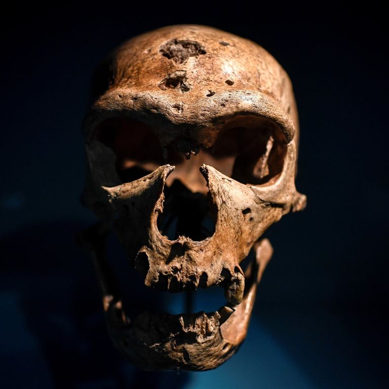 Uomo di Neanderthal (Staphanie De Sakutin/AFP)