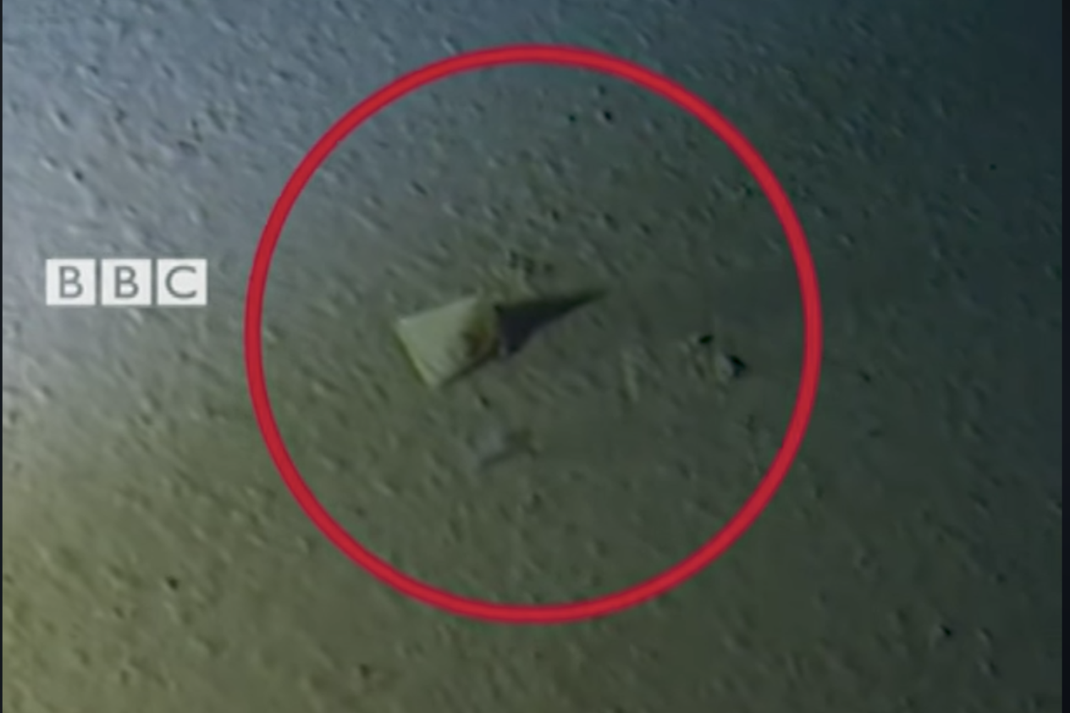 Il fondale delle Fosse delle Marianne