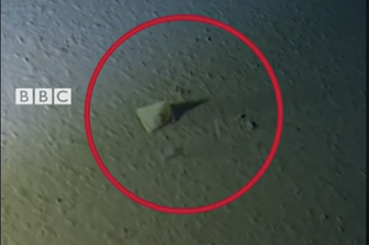 Il fondale delle Fosse delle Marianne