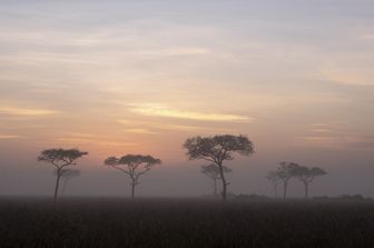 &nbsp;Kenya (Denis Huot/hemis.fr/Hemis/AFP)