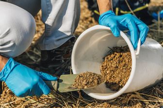 Concimazione della terra (repertorio)