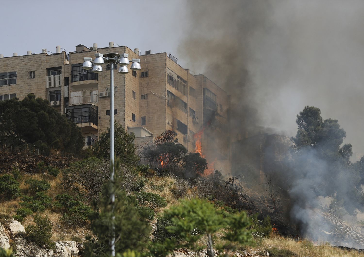 Incendi, Israele