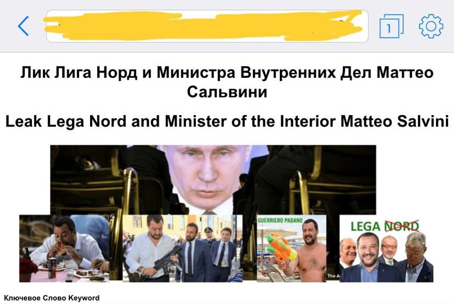 Lo screenshot della pagina che pubblica il leak con le mail della Lega&nbsp;