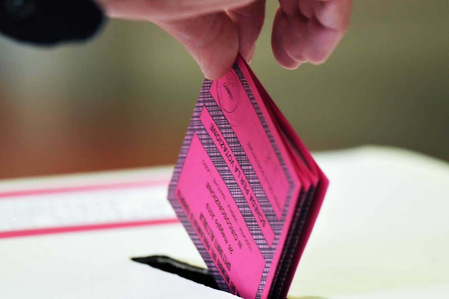 &nbsp;Scheda elettorale&nbsp;