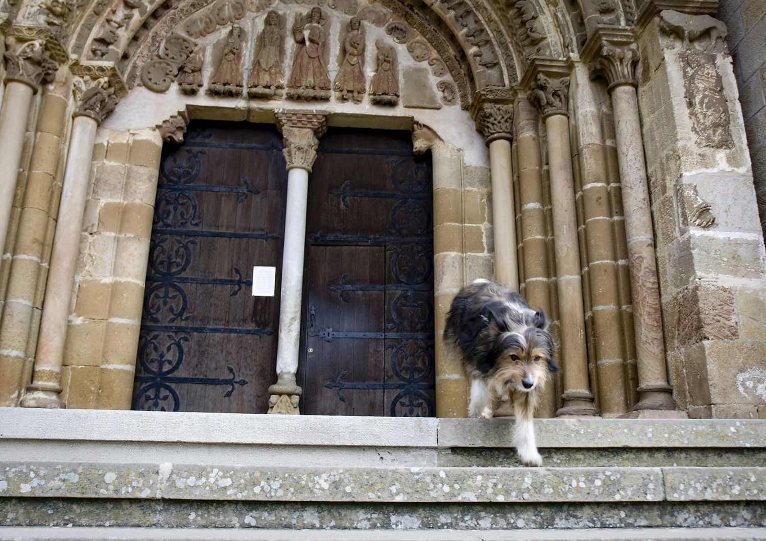 Un cane davanti a una chiesa
