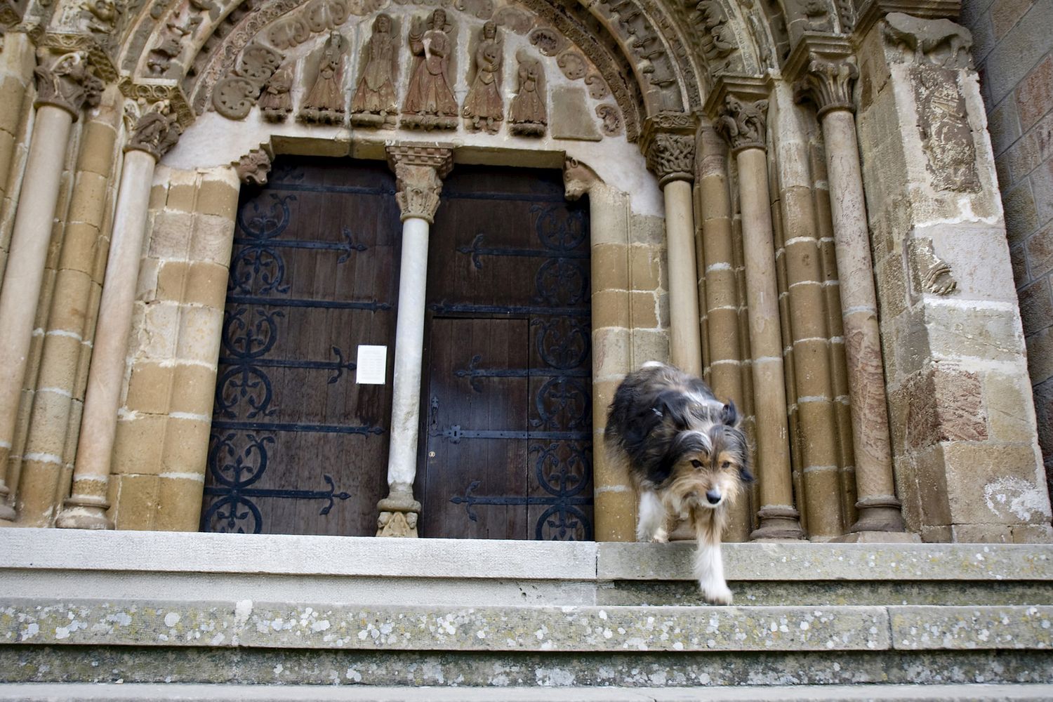 Un cane davanti a una chiesa