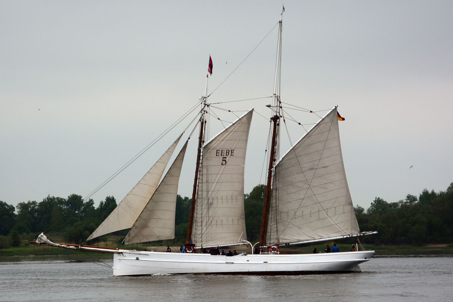 La goletta N. 5 Elbe