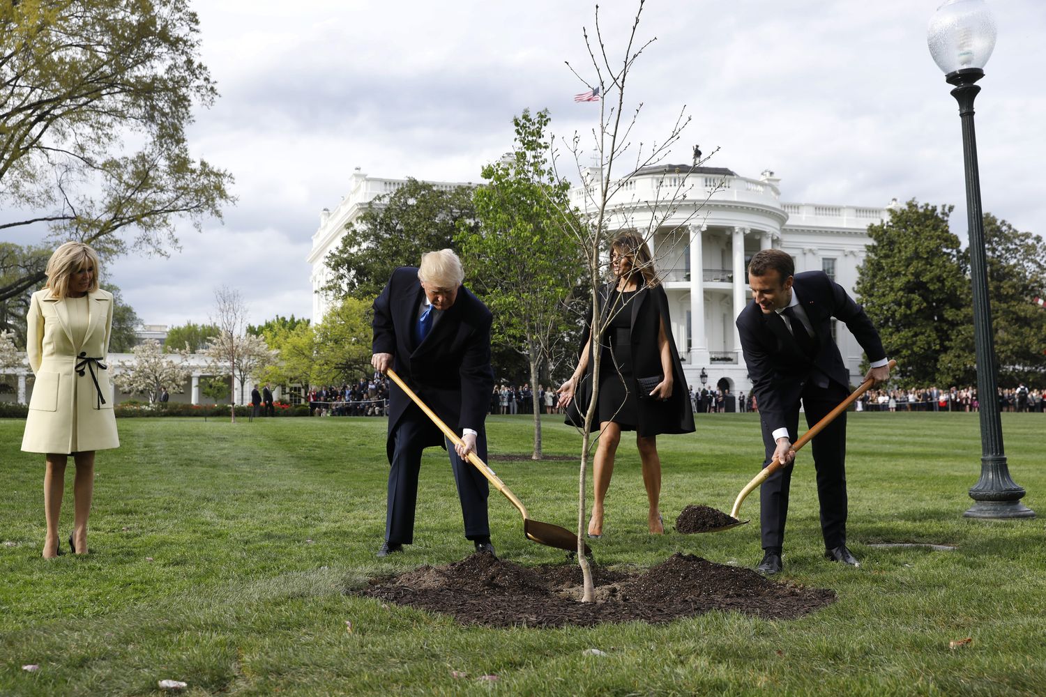 Trump e Macron piantano la quercia simbolo dell'amicizia tra Francia e Usa
