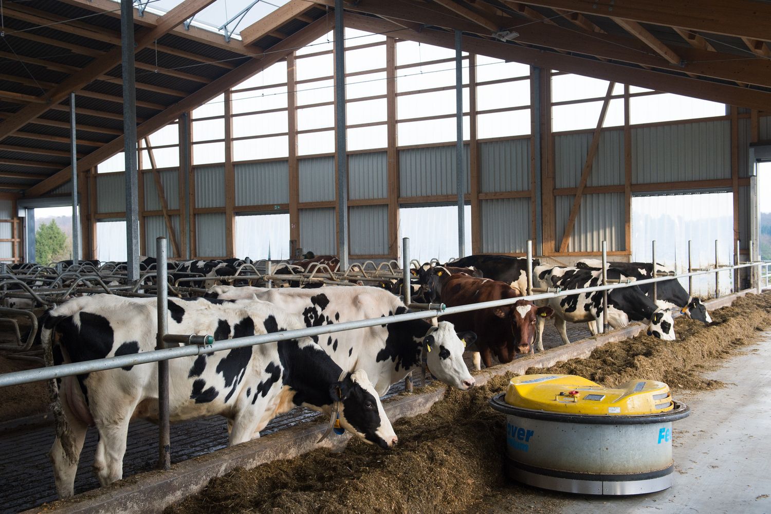 Allevamenti, automazione