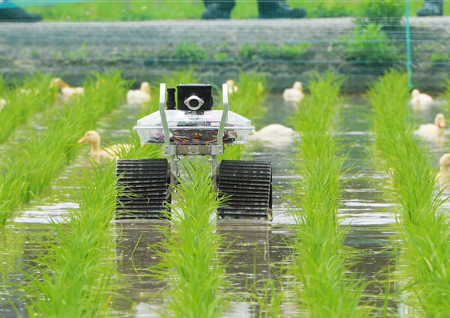 Robot in agricoltura