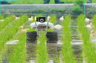 Robot in agricoltura