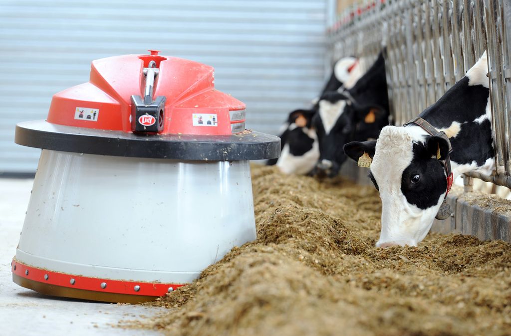 Allevamenti, automazione