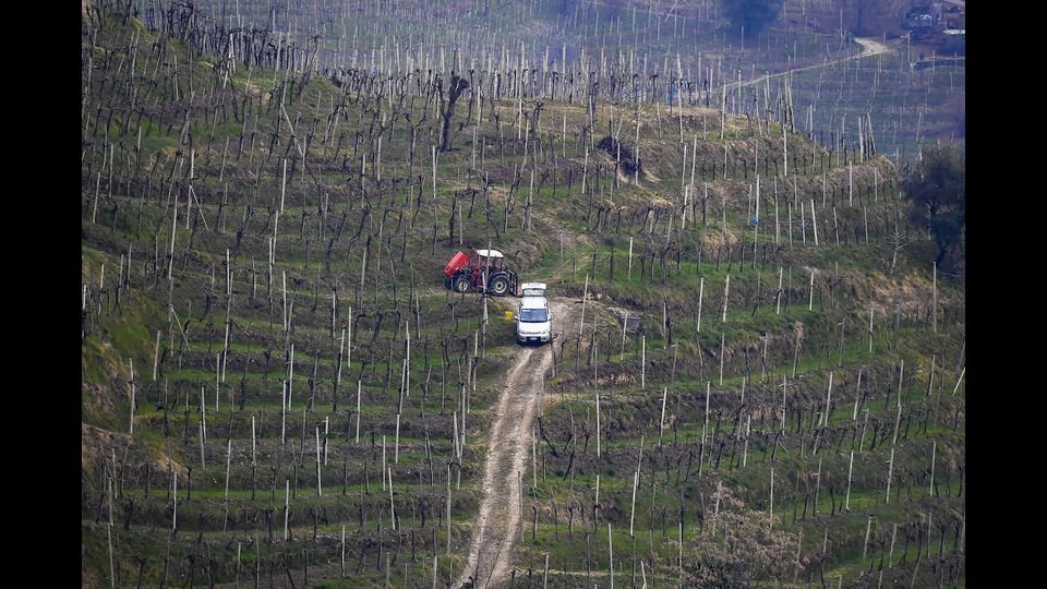 Le colline del prosecco, Conegliano Valdobbiadene &nbsp;