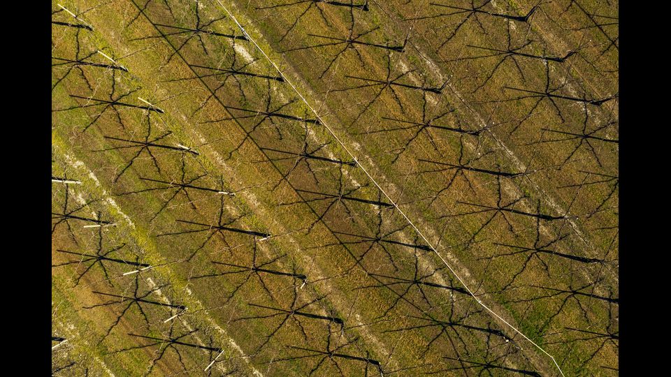 Le colline del prosecco, Conegliano Valdobbiadene &nbsp;