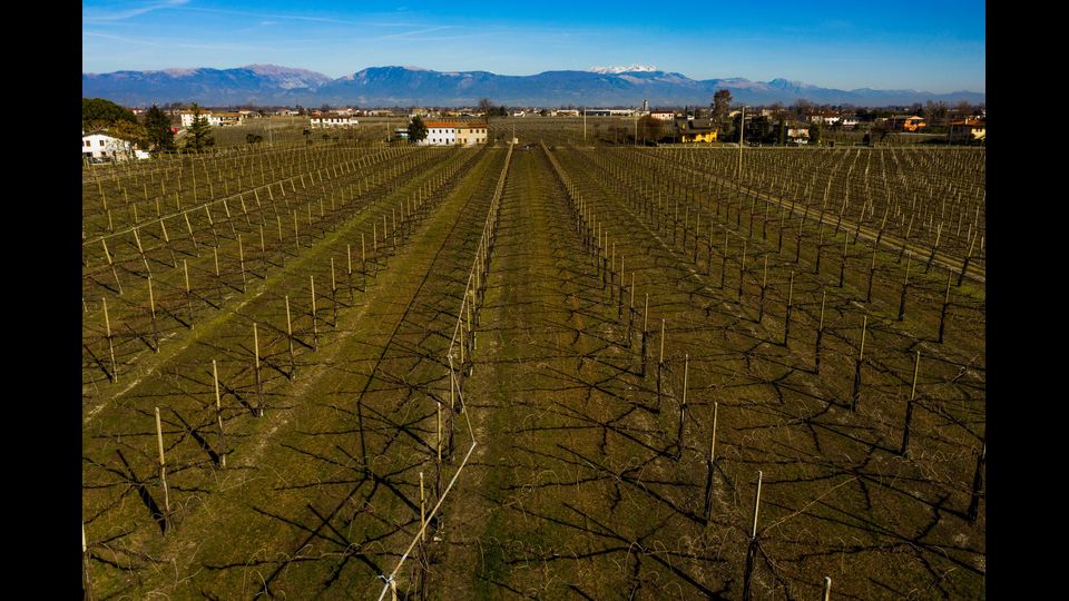 Le colline del prosecco, Conegliano Valdobbiadene