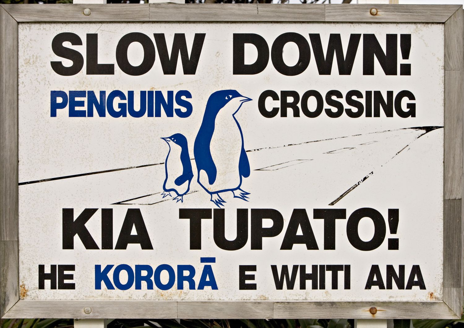 Un cartello a Wellington, in Nuova Zelanda