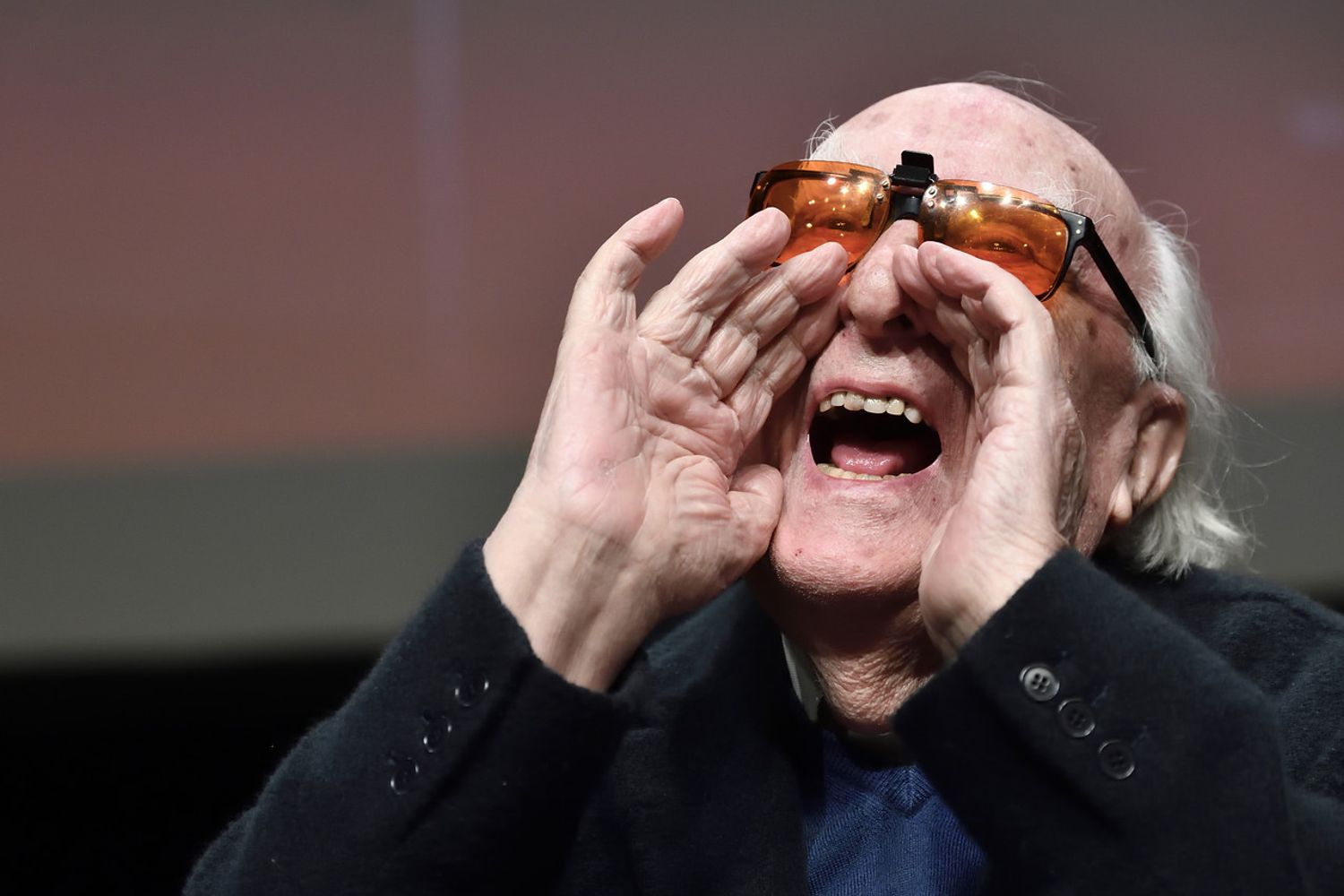 Andrea Camilleri&nbsp;