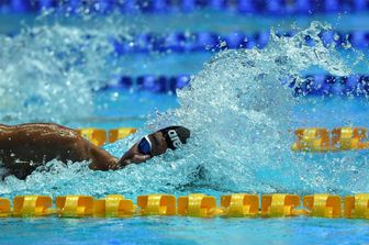 paltrinieri oro mondiali