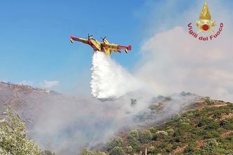 Un Canadair&nbsp;