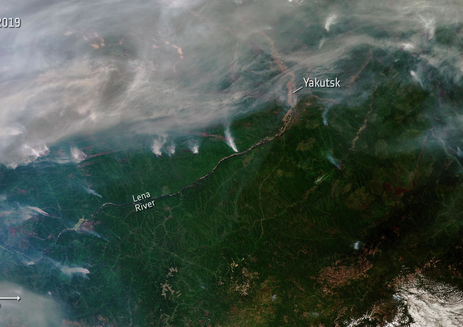 Incendi in Siberia