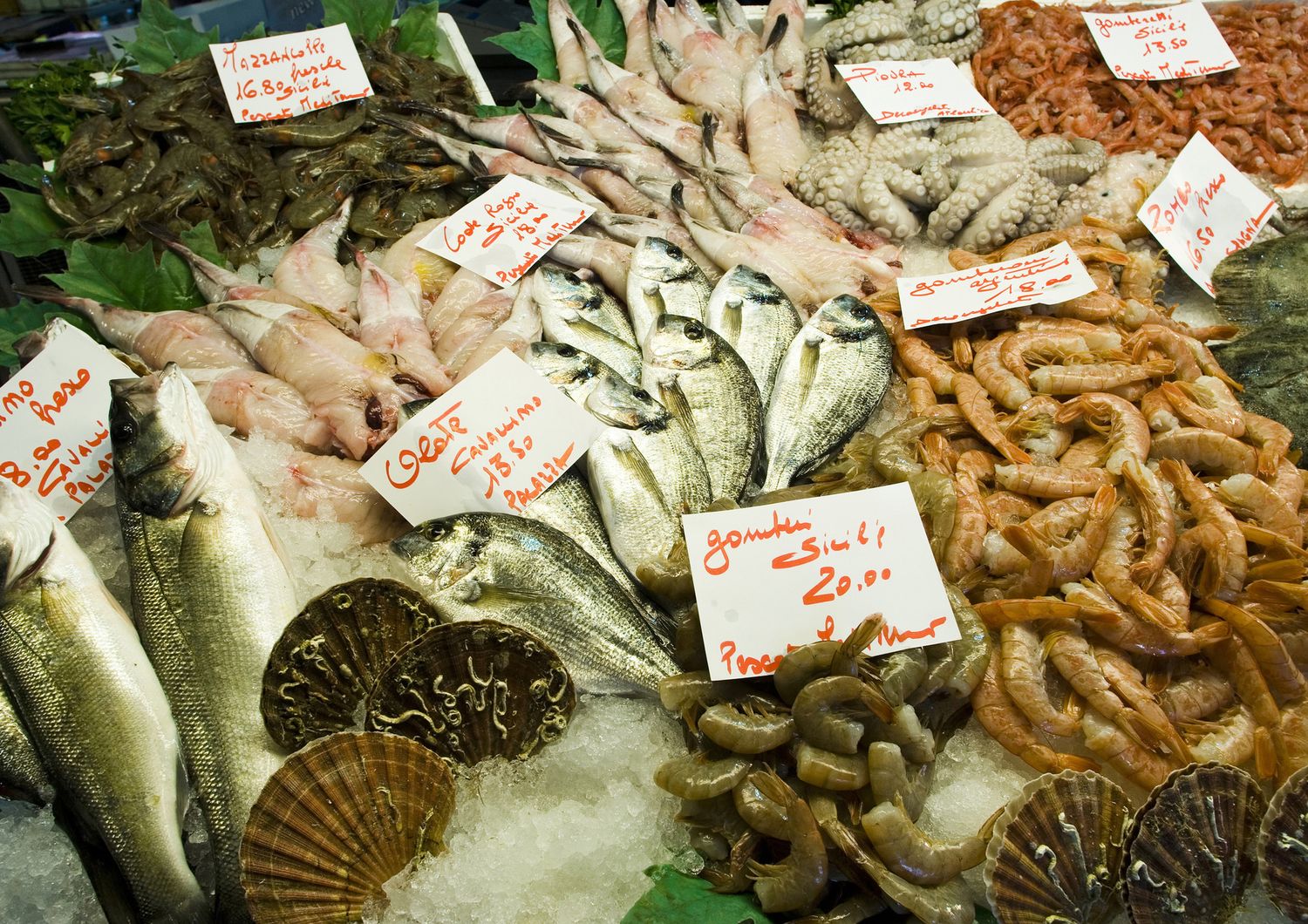 Pesce fresco al mercato di Rialto