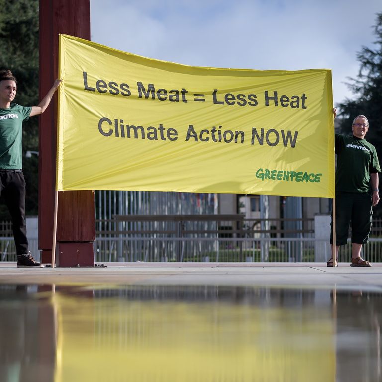 Greenpeace, cambiamenti climatici&nbsp;