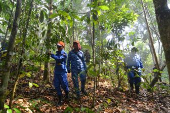 Malesya, la zona del ritrovamento di&nbsp;Nora&nbsp;Quoirin