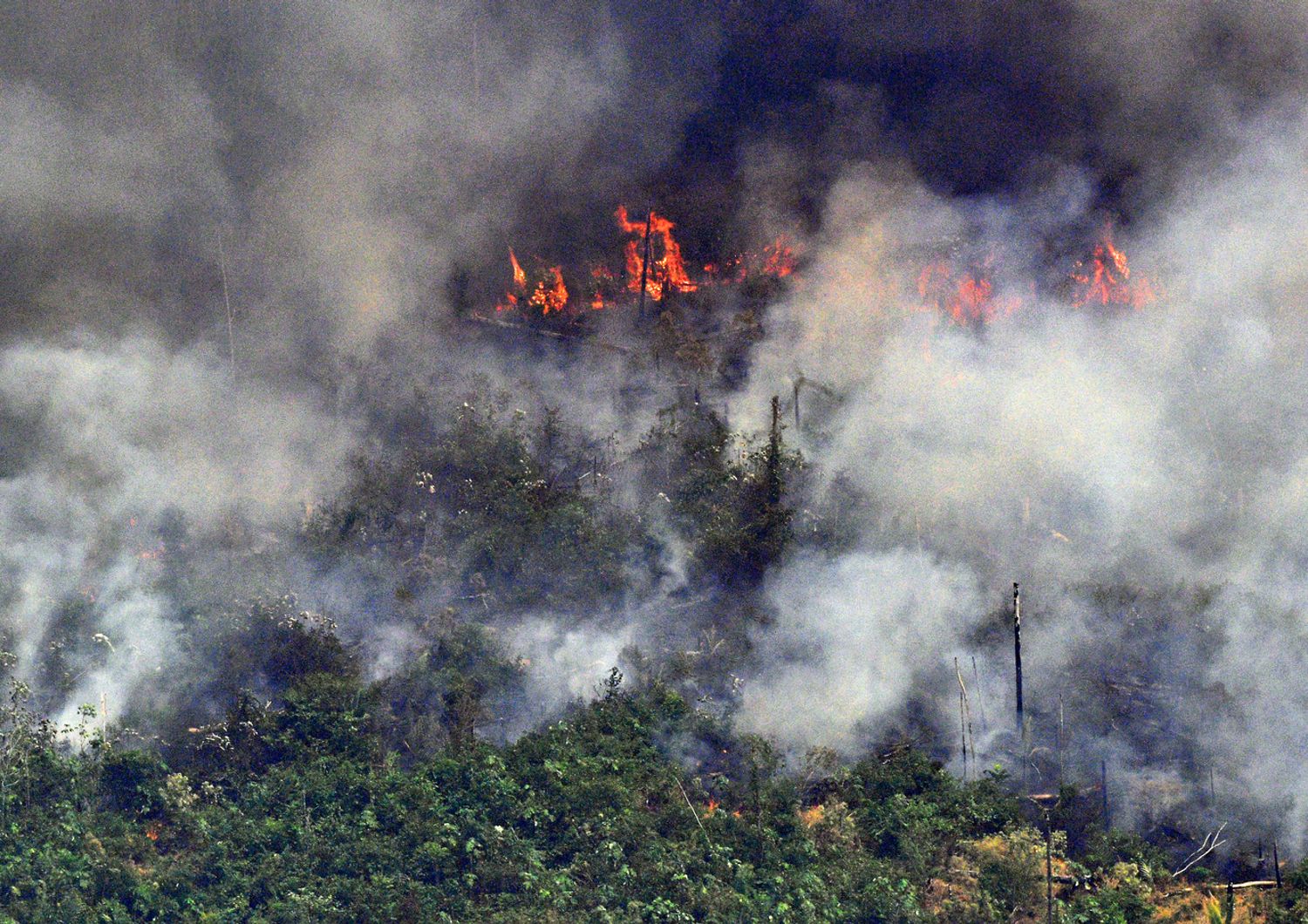 Amazzonia, incendio del 23/08/2019