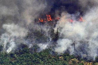 Incendio in Amazzonia
