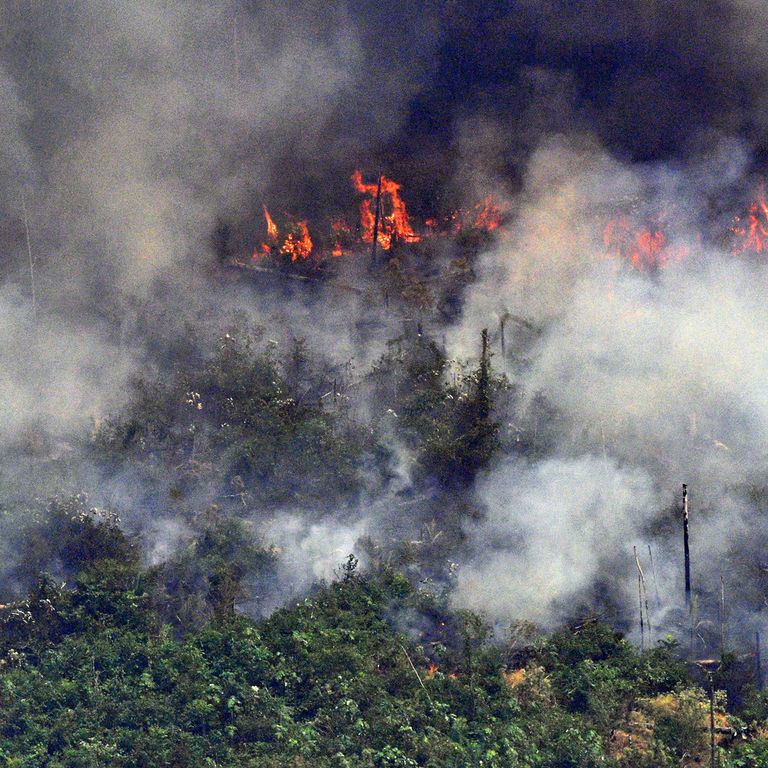 Amazzonia, incendio del 23/08/2019