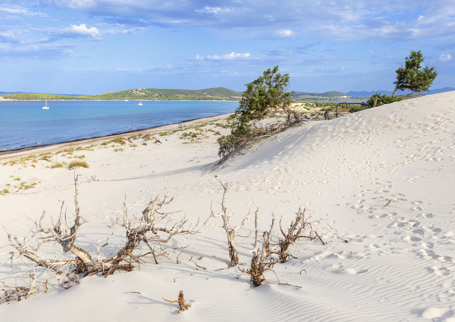 Un tratto di spiaggia incontaminata&nbsp;in Sardegna