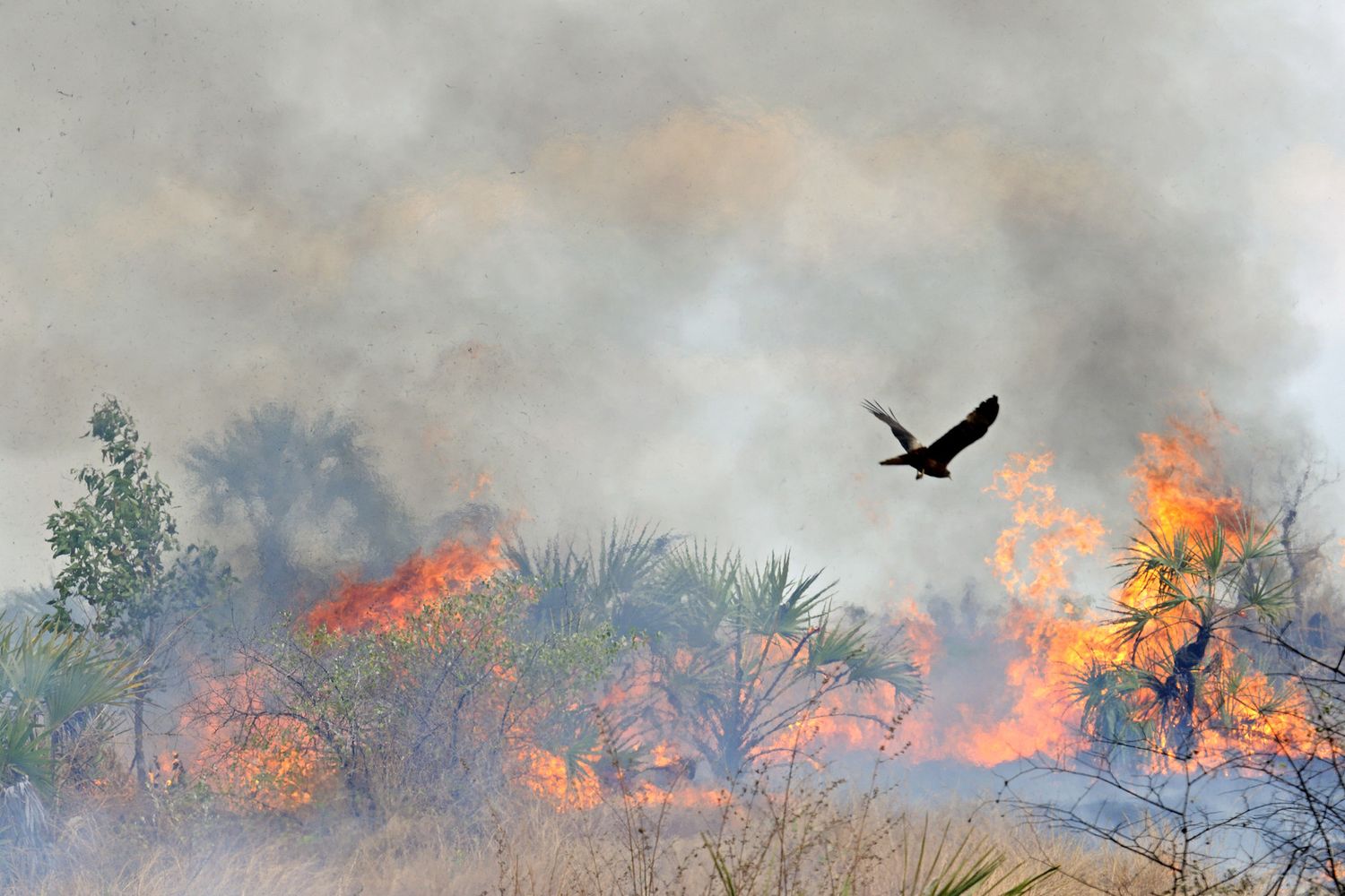 Incendio in Madagascar