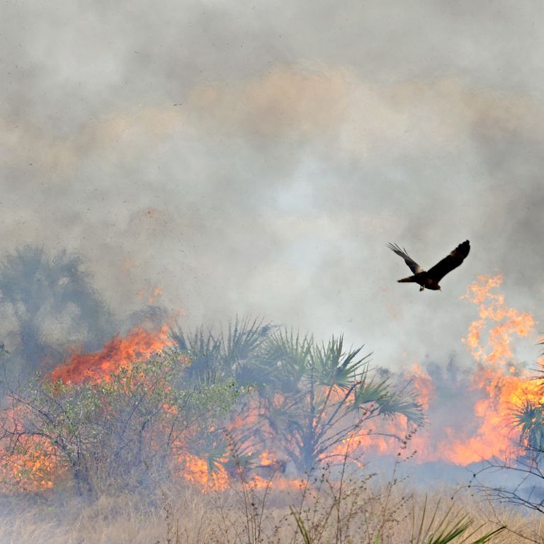 Incendio in Madagascar