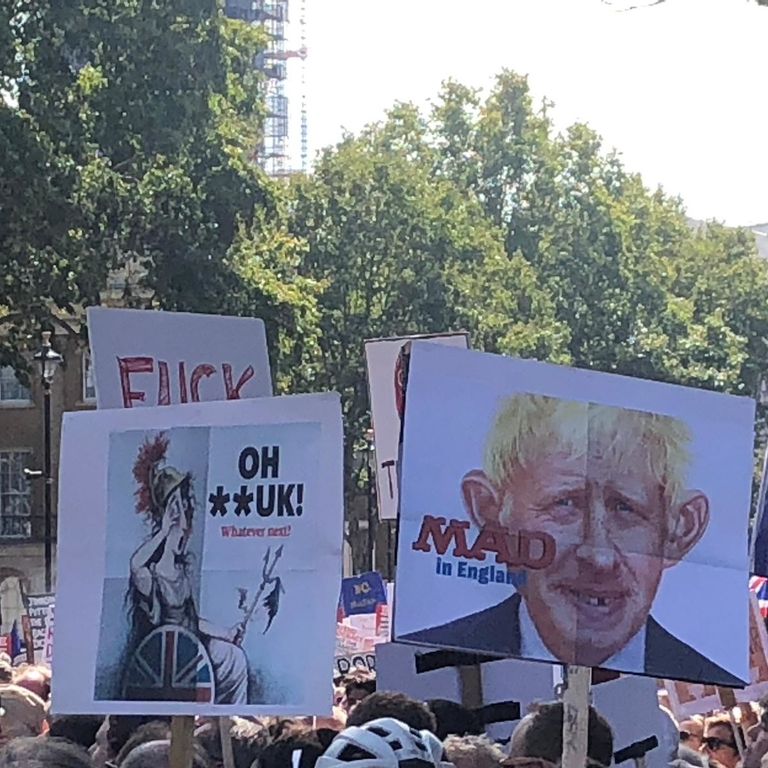 La manifestazione a Londra contro la sospensione del Parlamento&nbsp;