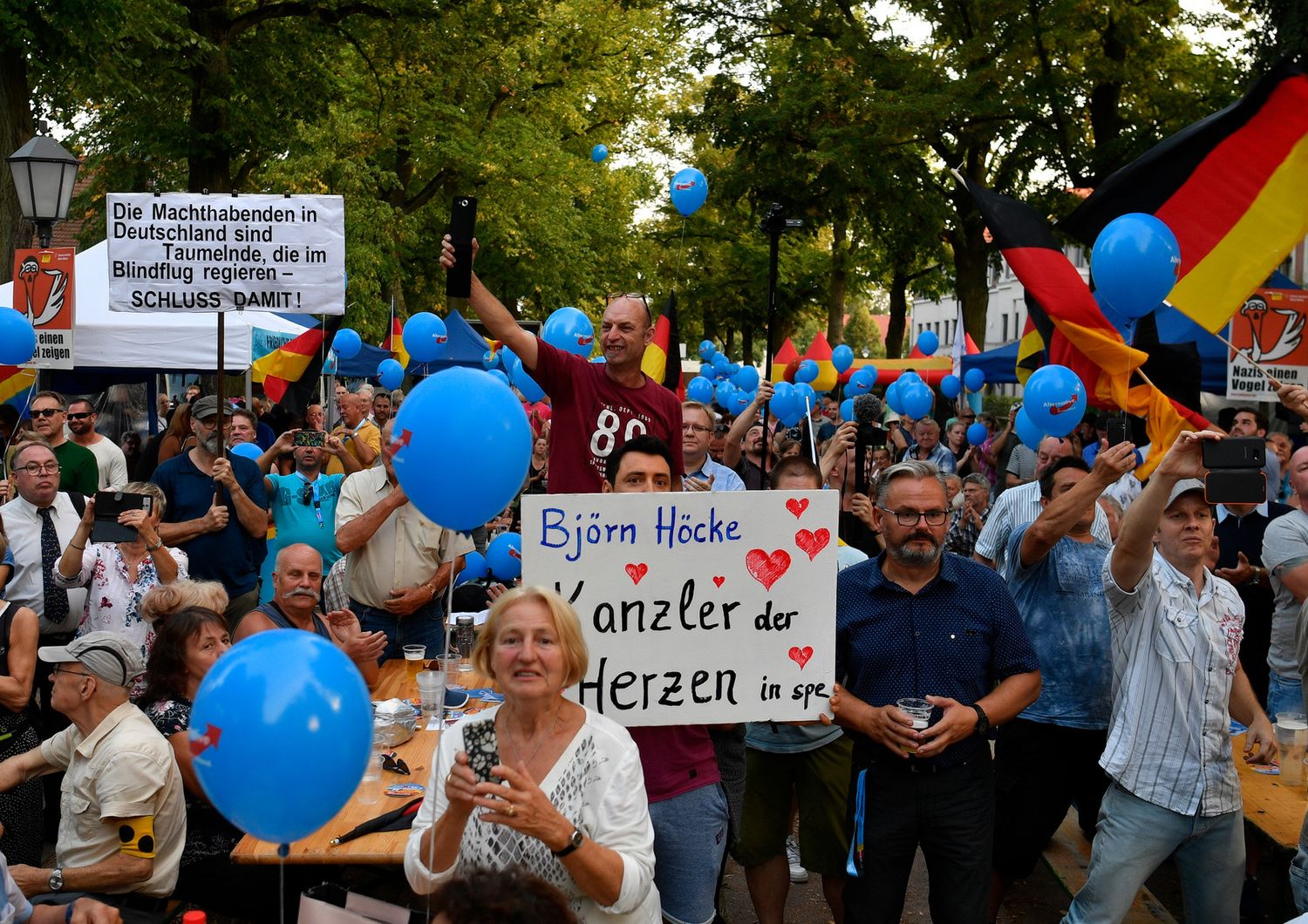 Manifestazione Afd