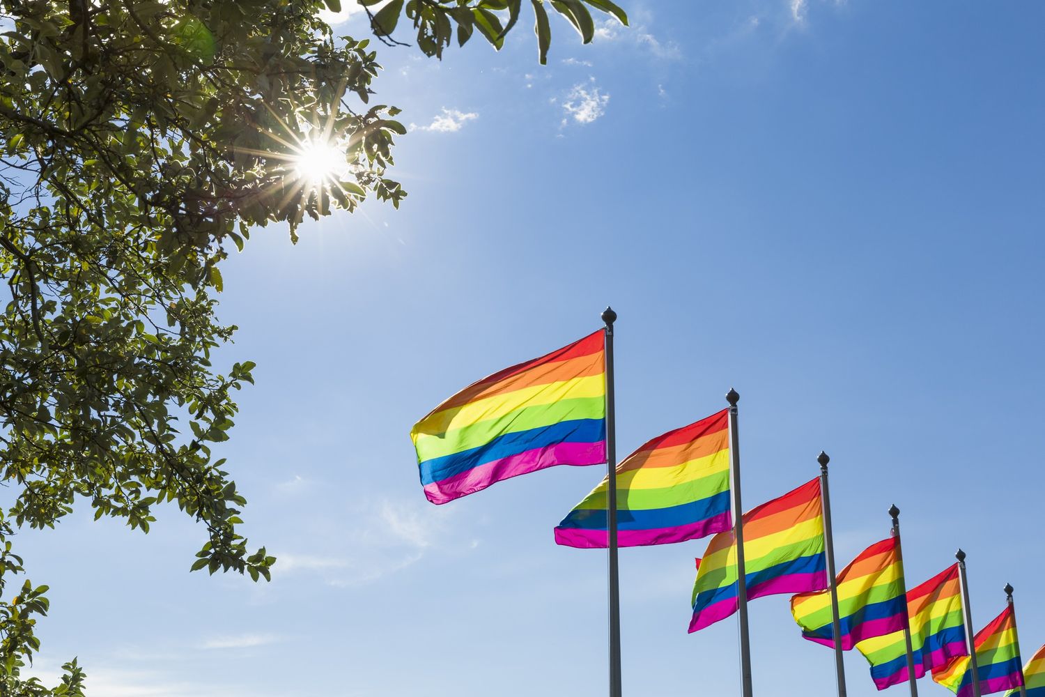 Bandiere arcobaleno Islanda