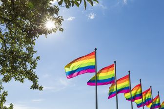 Bandiere arcobaleno Islanda