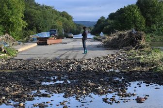 Tifone Krosa, Giappone