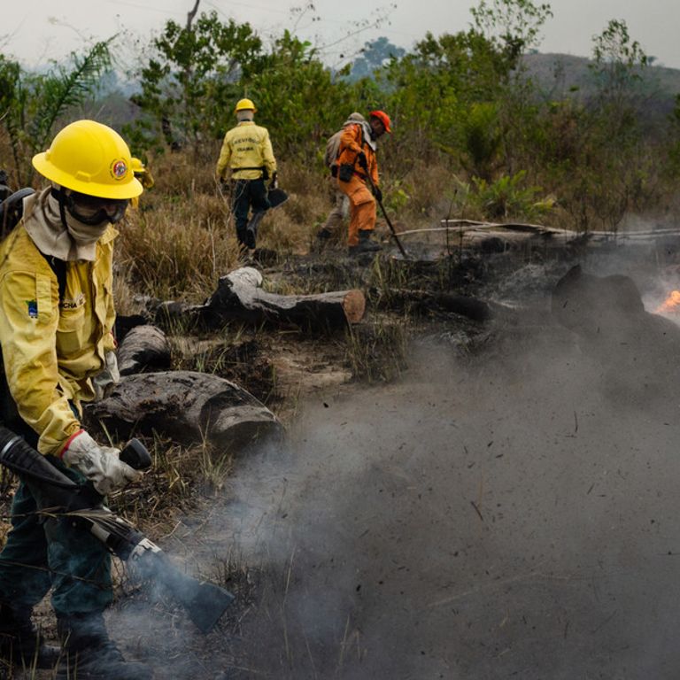Amazzonia in fiamme