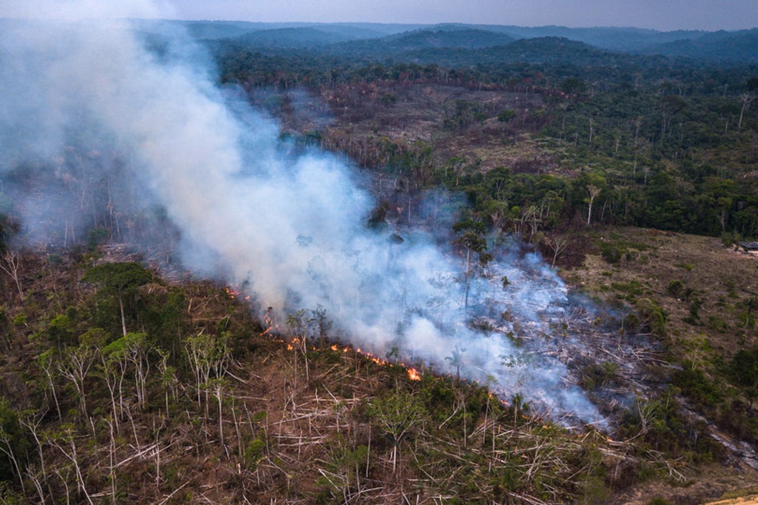 Amazzonia in fiamme