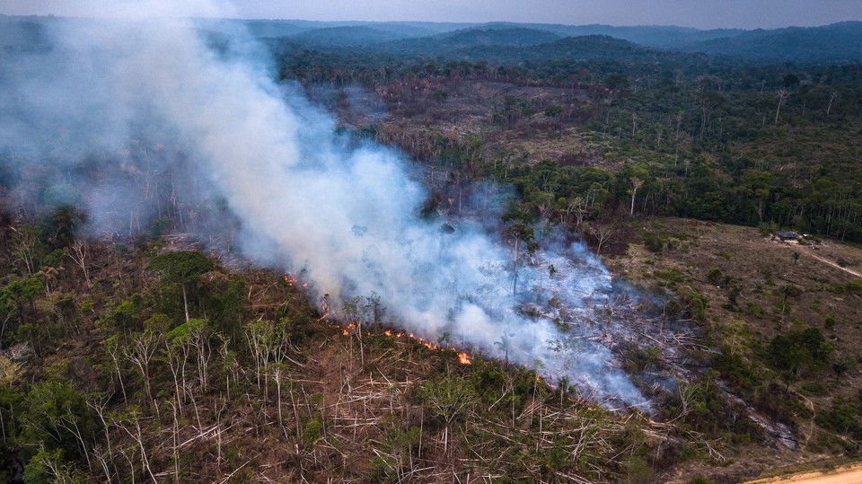 Amazzonia in fiamme