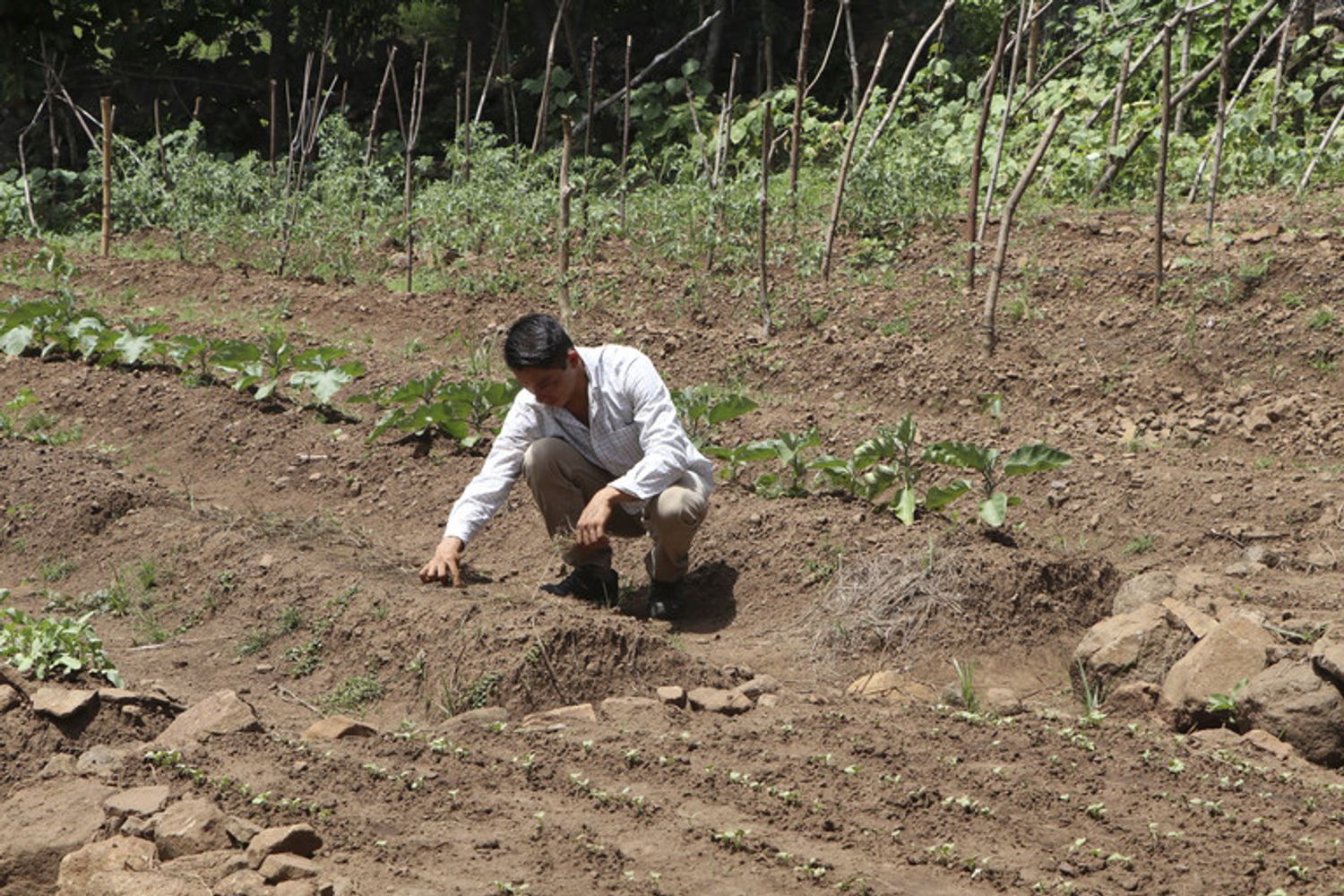 Un contadino in Nicaragua