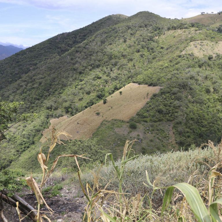 La siccit&agrave; in Nicaragua. Il Dry Corridor&nbsp;