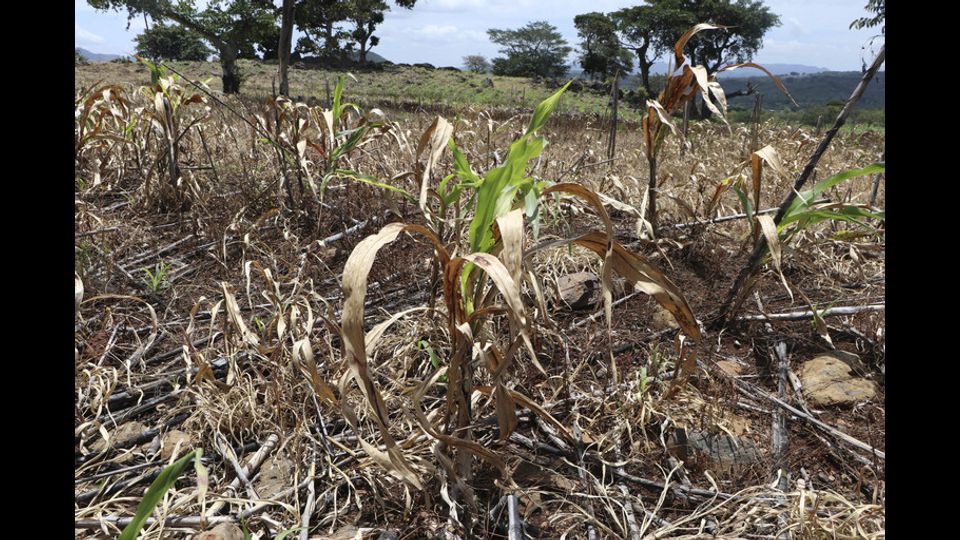 La siccit&agrave; in Nicaragua&nbsp;